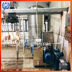 鴿子真空去肺機家禽去肺設(shè)備真空吸肺機多少錢一臺