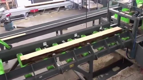 機械化木材加工廠 樹干到木板的現(xiàn)代技術(shù)革新